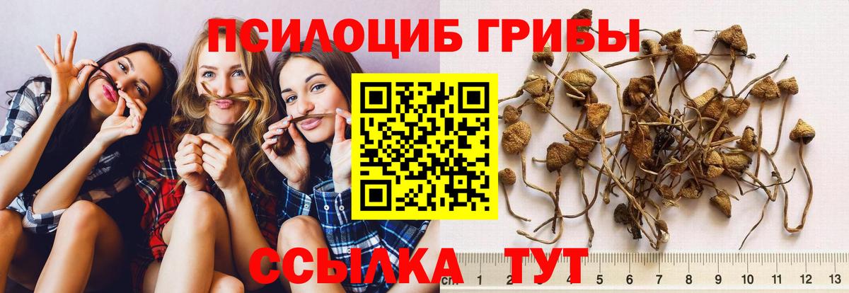 Галлюциногенные грибы мицелий Хабаровск