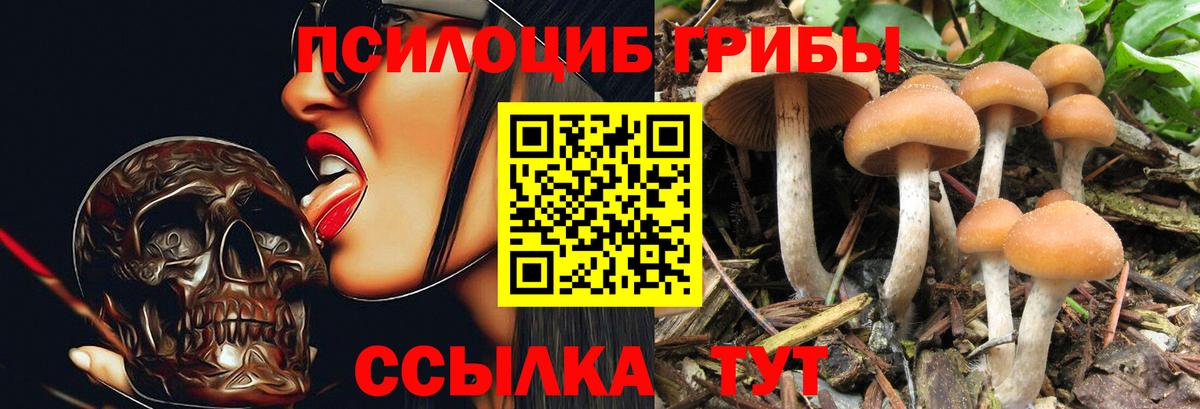 Хабаровск  Галлюциногенные грибы Psilocybe  Галлюциногенные грибы мицелий  Вход с VPN 